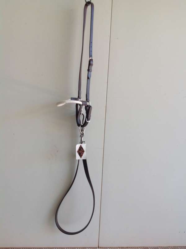 Soft cotton nose band with long leather head check